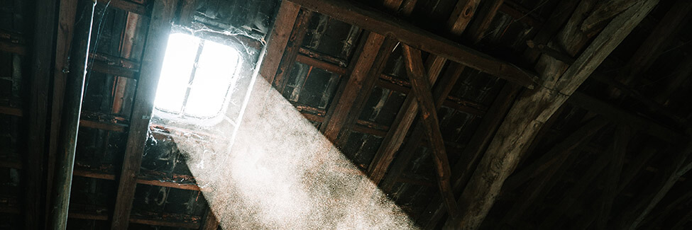 attic with dust
