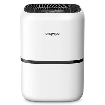 Okaysou AirMic4S Air Purifier Review